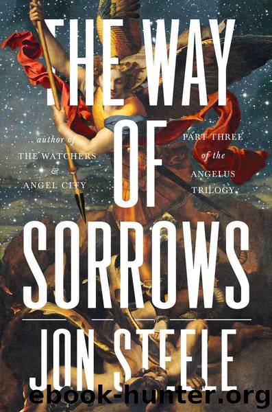 The Way of Sorrows by Jon Steele