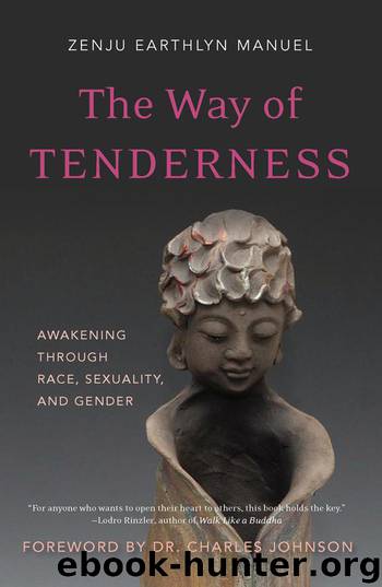 The Way of Tenderness: Awakening through Race, Sexuality, and Gender by Manuel Zenju Earthlyn