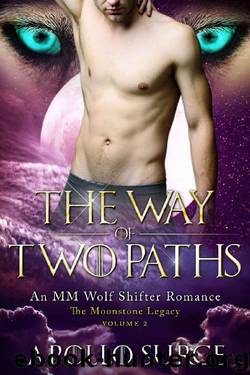 The Way of Two Paths: MM Wolf Shifter Paranormal Romance (The Moonstone Legacy Book 2) by Apollo Surge