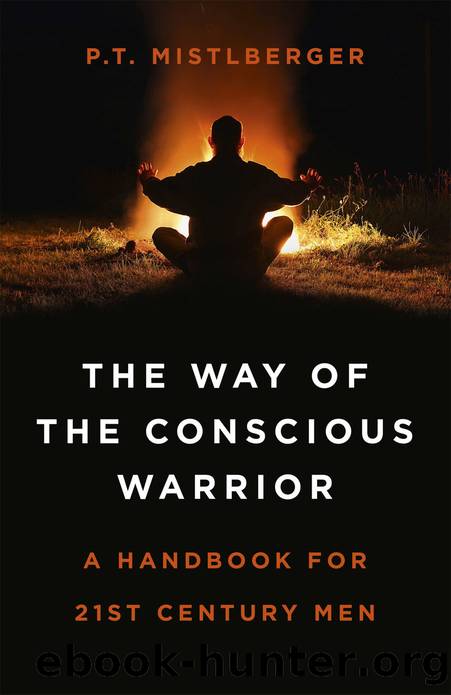 The Way of the Conscious Warrior by P. T. Mistlberger