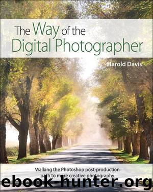 The Way of the Digital Photographer: Walking the Photoshop post-production path to more creative photography by Harold Davis