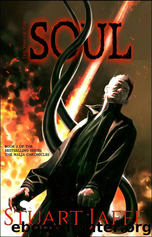 The Way of the Soul by Stuart Jaffe