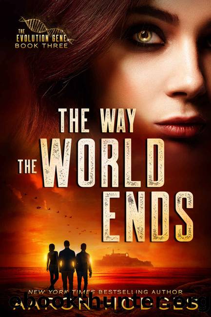 The Way the World Ends by Aaron Hodges