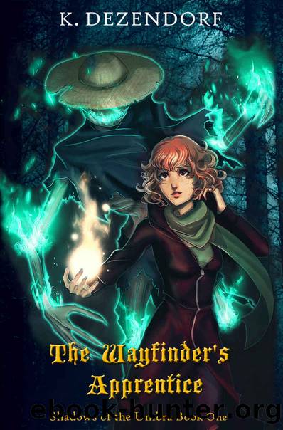 The Wayfinder's Apprentice (Shadows of the Umbra Book 1) by K Dezendorf
