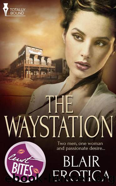 The Waystation by Blair Erotica