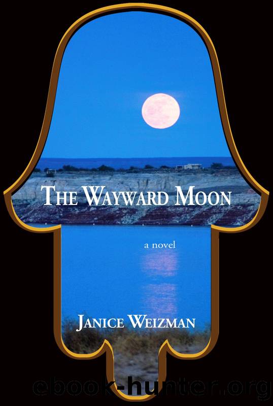 The Wayward Moon by Janice Weizman