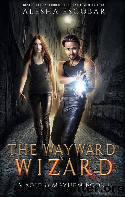 The Wayward Wizard by Alesha Escobar