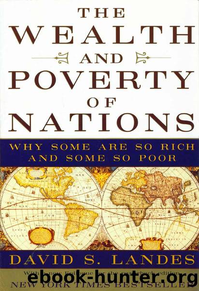 The Wealth and Poverty of Nations: Why Some Are So Rich and Some So Poor by David S. Landes