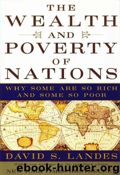 The Wealth and Poverty of Nations: Why Some Are So Rich and Some So Poor by Landes David S