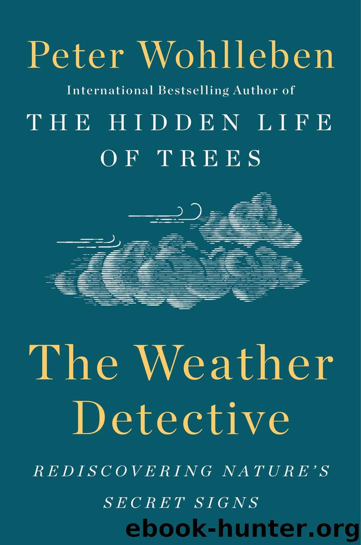 The Weather Detective by Peter Wohlleben