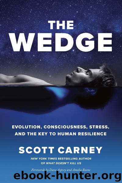 The Wedge by Scott Carney