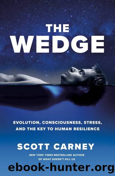 The Wedge: Evolution, Consciousness, Stress, and the Key to Human Resilience by Scott Carney