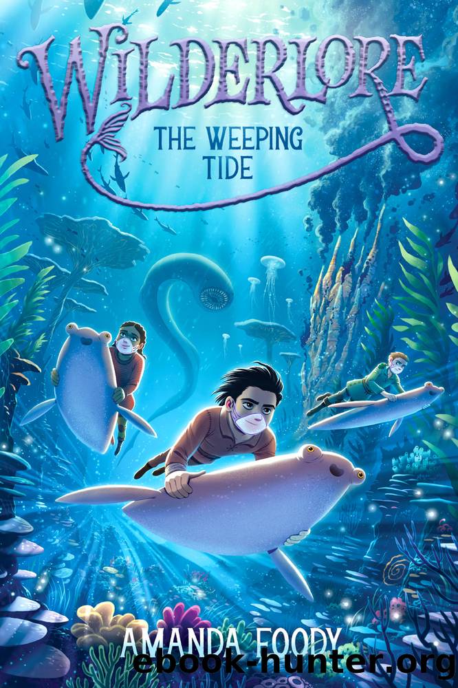 The Weeping Tide by Amanda Foody