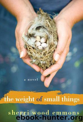 The Weight of Small Things by Wood Emmons Sherri
