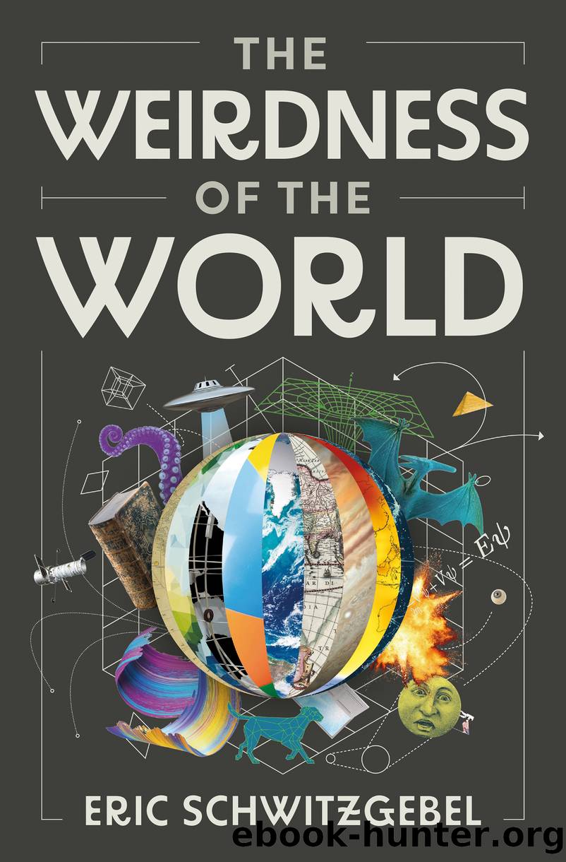 The Weirdness of the World by Eric Schwitzgebel;
