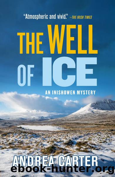 The Well of Ice by Andrea Carter