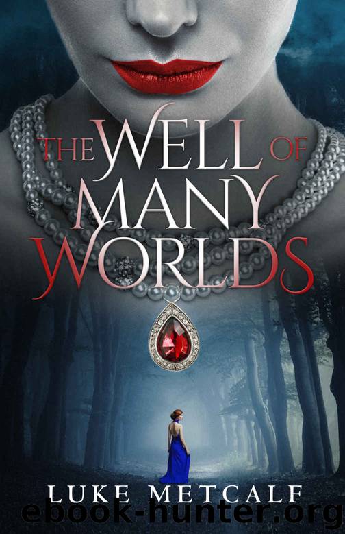 The Well of Many Worlds by Luke Metcalf