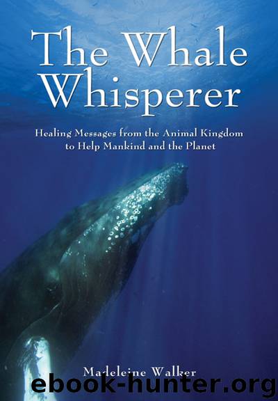 The Whale Whisperer by Madeleine Walker