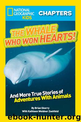 The Whale Who Won Hearts by Brian Skerry