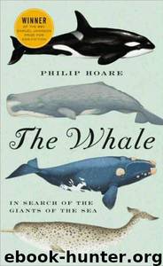 The Whale: In Search of the Giants of the Sea by Philip Hoare