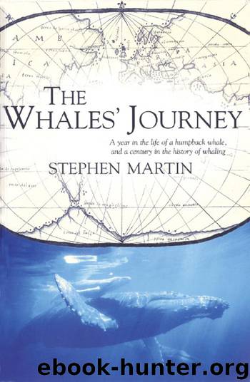The Whales' Journey by Stephen Martin