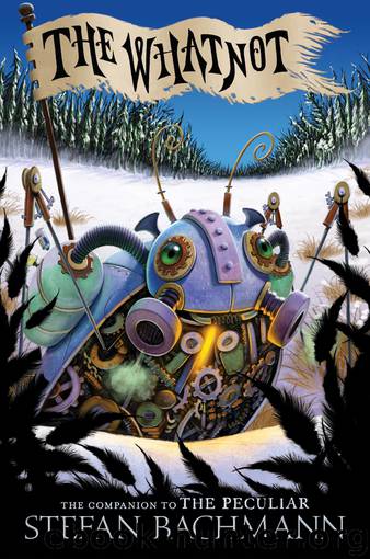 The Whatnot by Stefan Bachmann