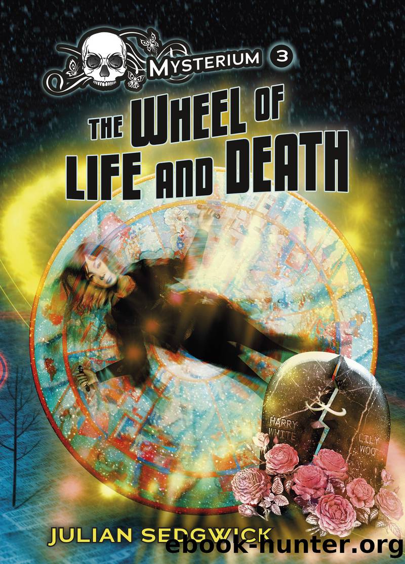The Wheel of Life and Death by Julian Sedgwick