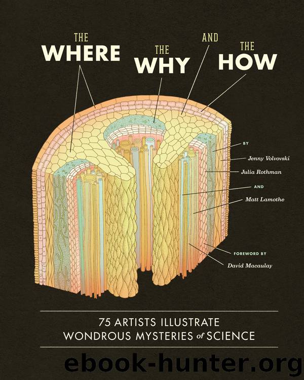 The Where, the Why, and the How by Matt Lamothe