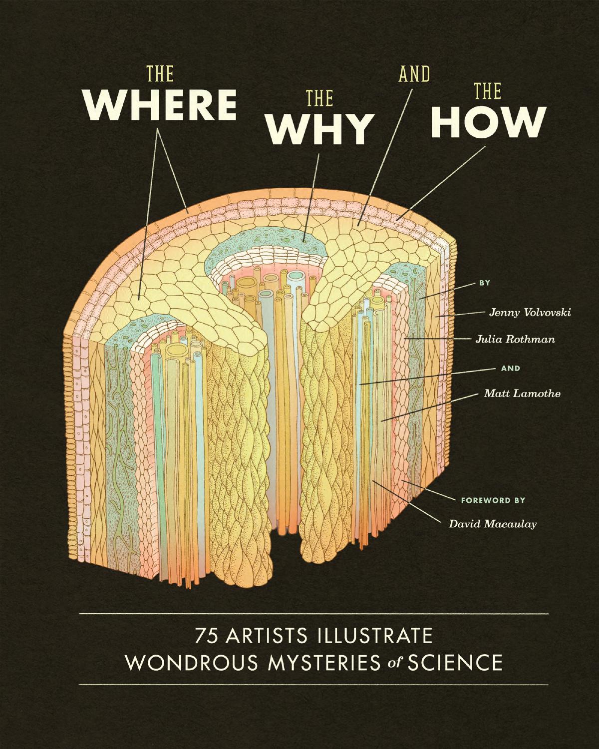 The Where, the Why, and the How: 75 Artists Illustrate Wondrous Mysteries of Science by Matt LaMothe; Julia Rothman; Jenny Volvovski