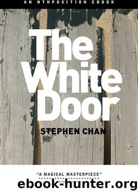 The White Door by Stephen Chan