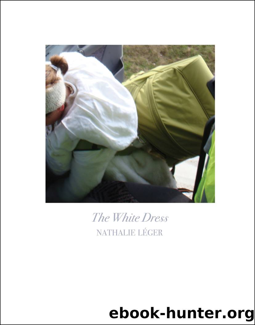 The White Dress by Nathalie Léger