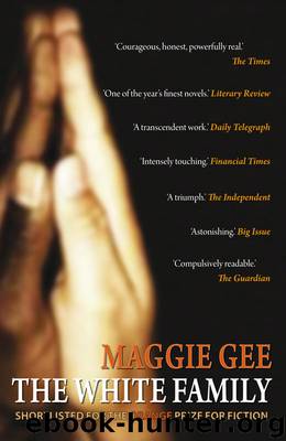 The White Family by Maggie Gee