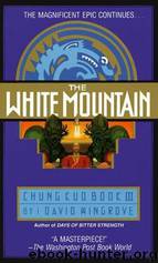 The White Mountain by David Wingrove