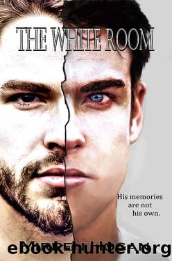 The White Room by Mirren Hogan
