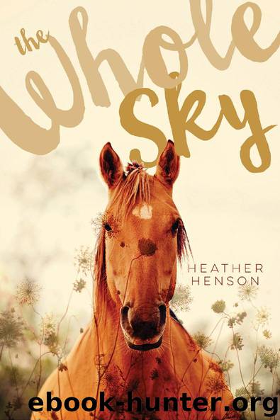 The Whole Sky by Heather Henson