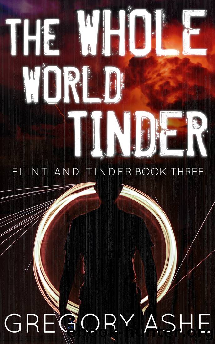 The Whole World Tinder by Gregory Ashe