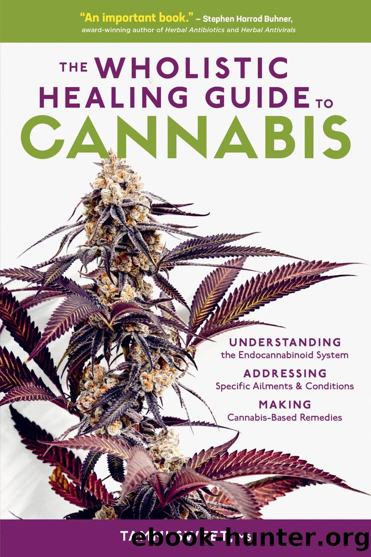 The Wholistic Healing Guide to Cannabis: Understanding the Endocannabinoid System, Addressing Specific Ailments and Conditions, and Making Cannabis-Based Remedies by Tammi Sweet
