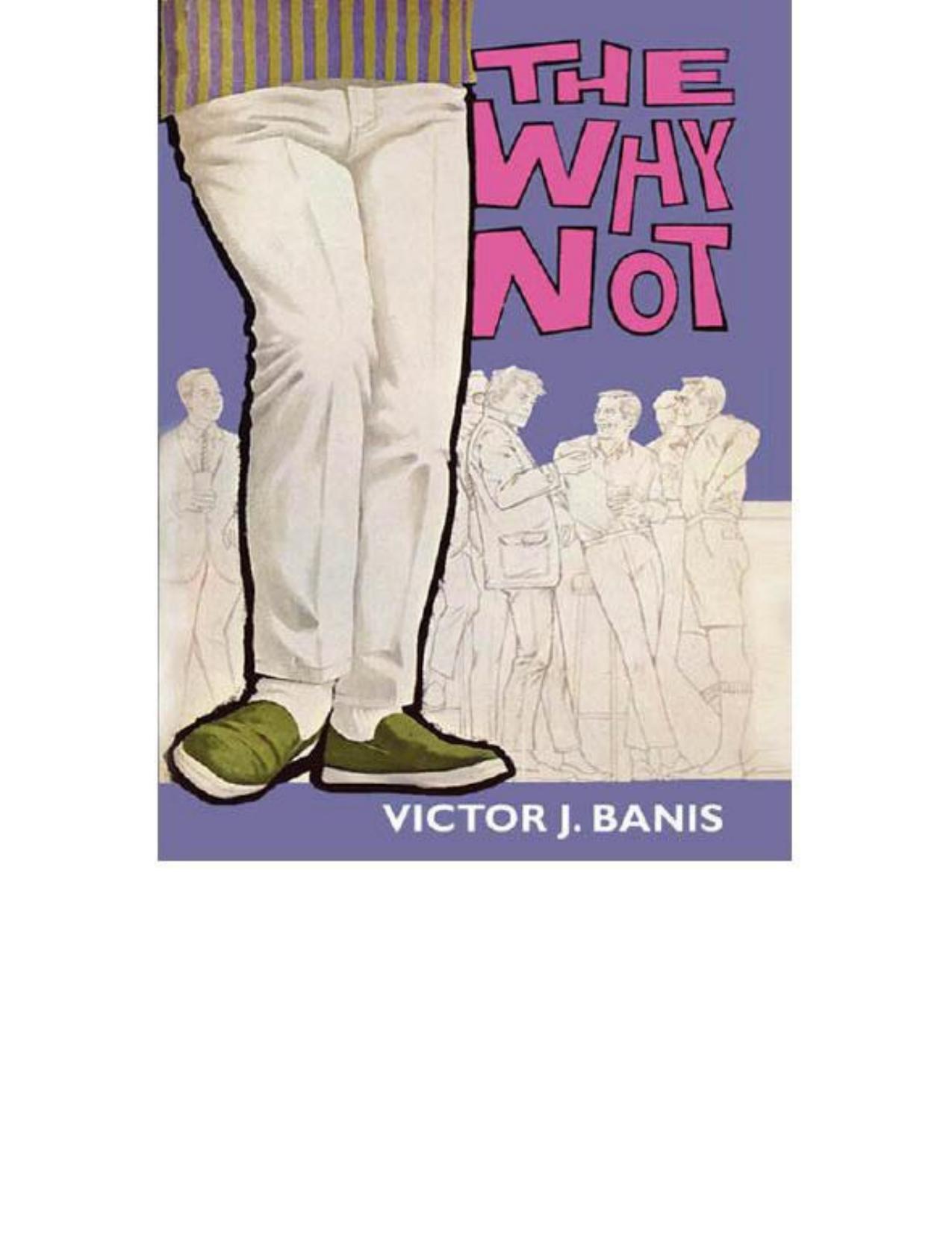 The Why Not by Victor J. Banis