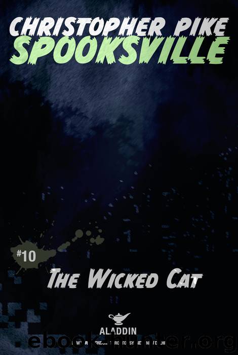 The Wicked Cat by Christopher Pike