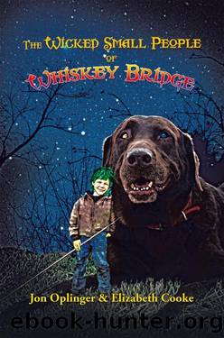 The Wicked Small People of Whiskey Bridge by Jon Oplinger & Elizabeth Cooke