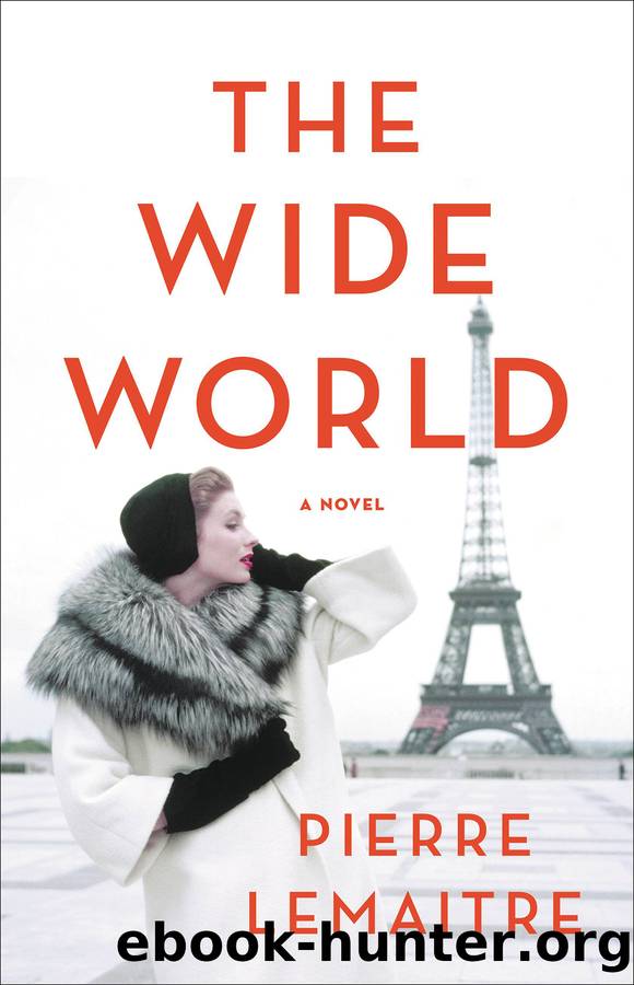 The Wide World by Pierre Lemaitre