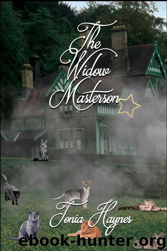 The Widow Masterson by Tonia Haynes