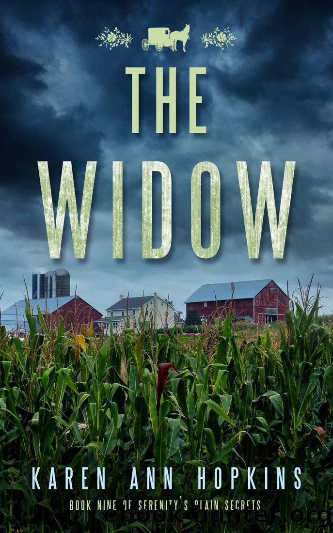 The Widow by Hopkins Karen Ann