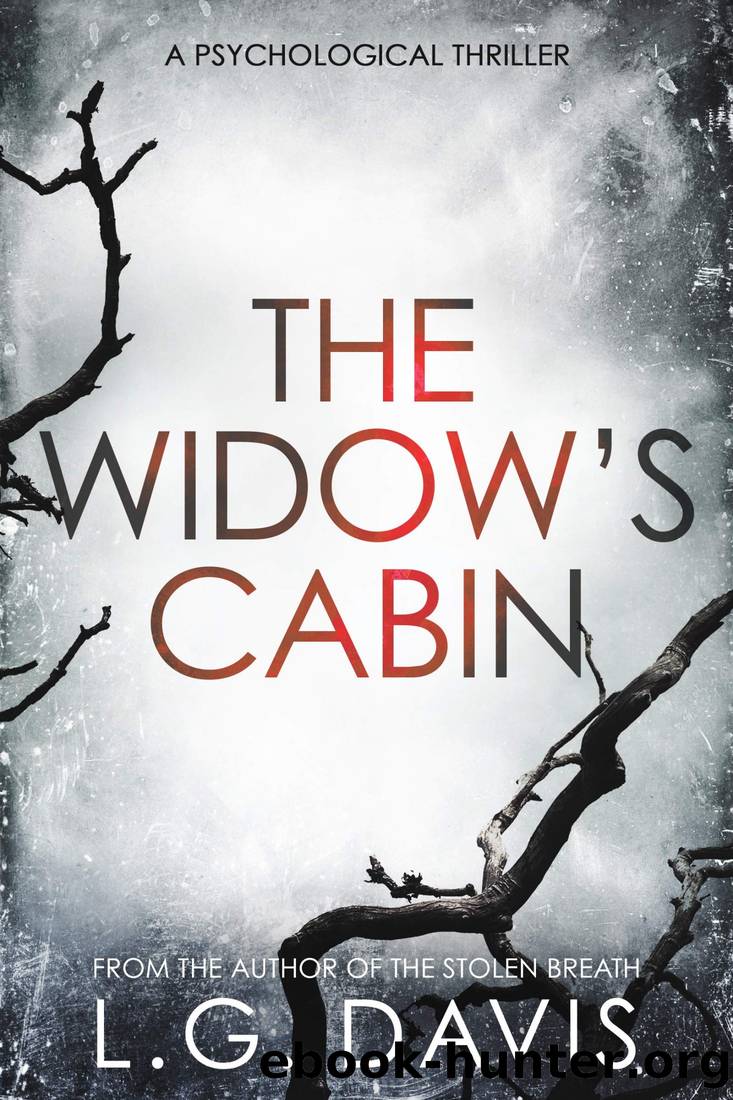 The Widow's Cabin by Davis L. G