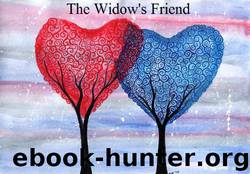 The Widow's Friend by Dave Stone & Callii Wilson