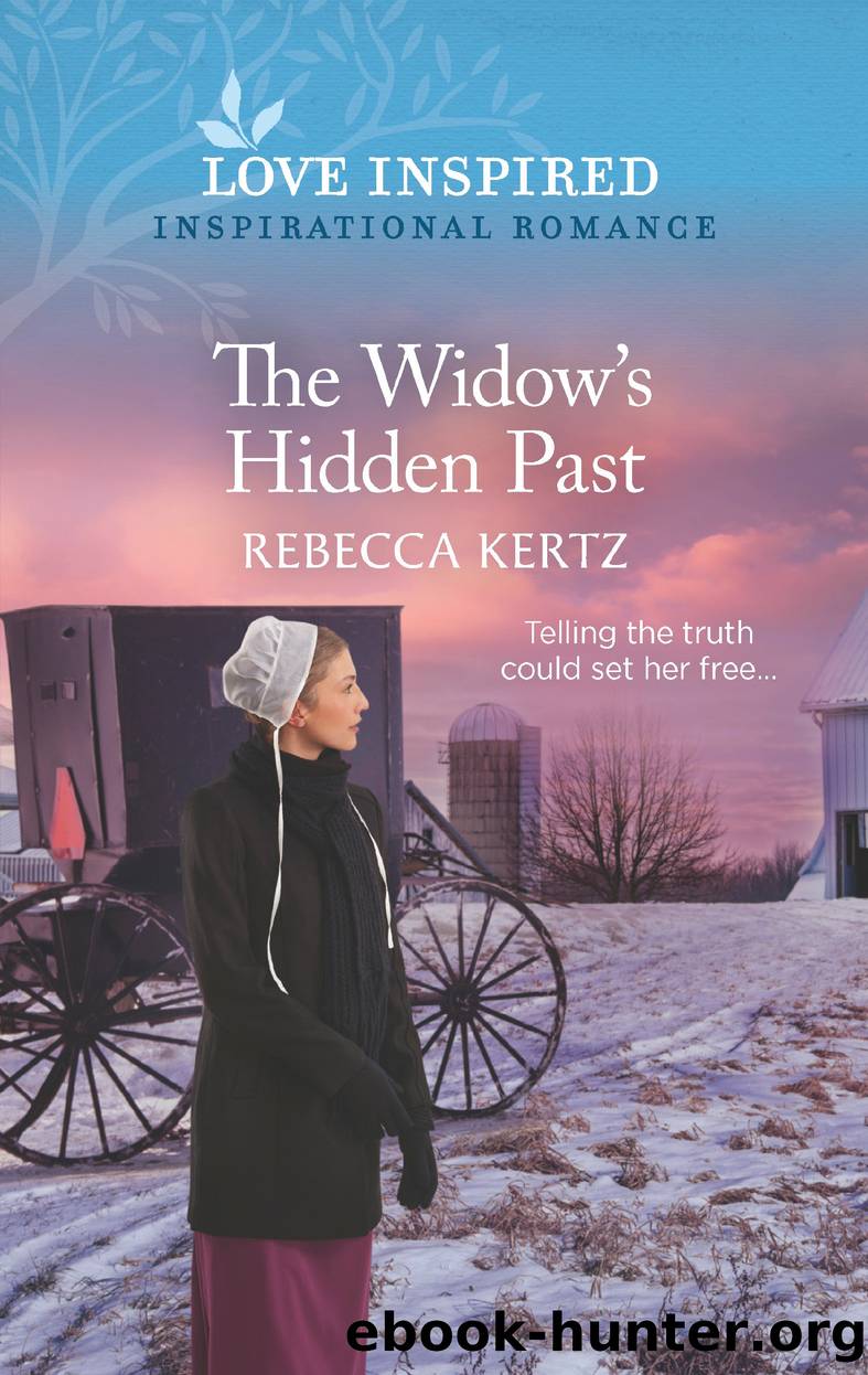 The Widow's Hidden Past by Rebecca Kertz
