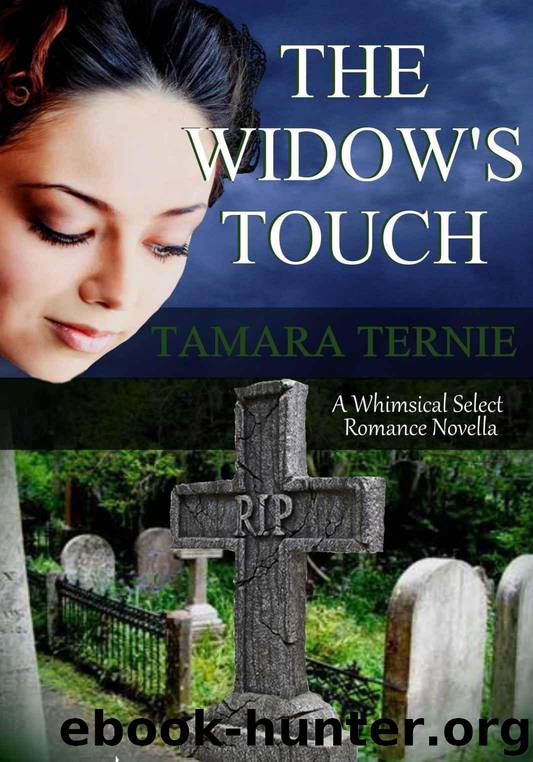 The Widow's Touch (A Whimsical Select Romance Novella) by Ternie Tamara