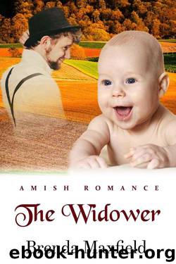 The Widower (Amy's Story Book 3) by Brenda Maxfield
