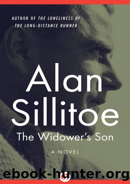 The Widower's Son by Sillitoe Alan;