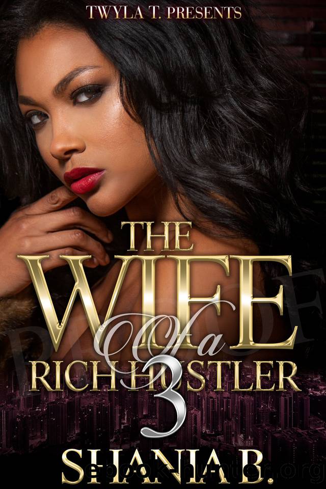 The Wife Of A Rich Hustler 3 by B. Shania